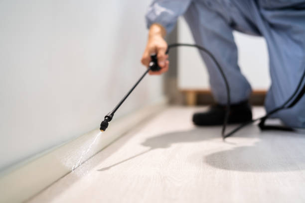 Licensed Pest Control service in St. Stephens, NC - Show Me Pest Control