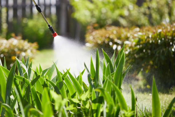 Tamper-Resistant Bait Stations for Rodents in St. Stephens