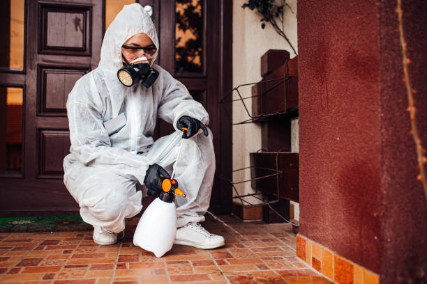 Attic and Crawl Space Rodent Treatment in St. Stephens