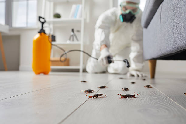 Commercial Rodent Management in St. Stephens